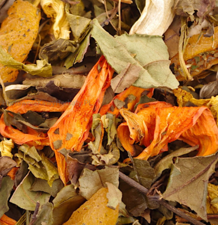 Herbata biała AMBER FAME 50g