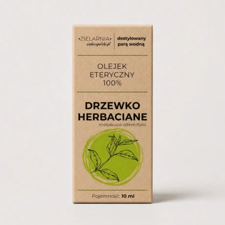 Olejek Drzewo herbaciane 10ml Zielarzposki