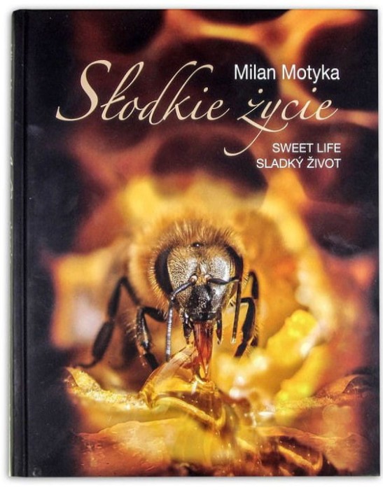 94a62007555c142eb03d124a95bf32d8