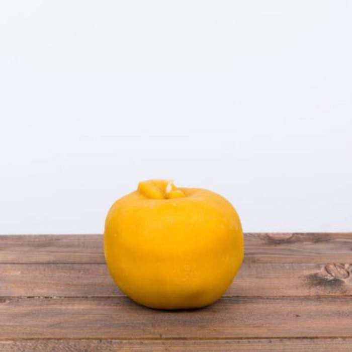 6a19863fb83e2fc82f1d63e4397ec84a