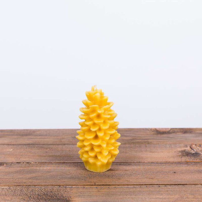 8b8f27051fd14d2bf4a0ef99203d84aa