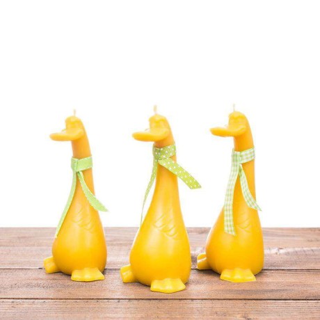 Świeca woskowa Kaczor