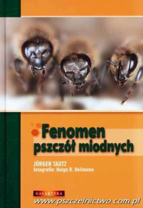 a15fe8ca44ce315e750e26169b714868